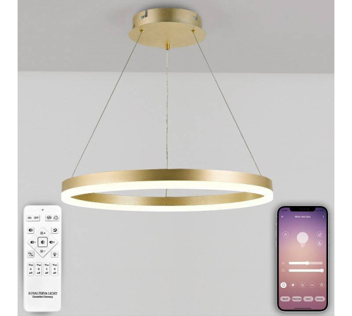 Подвесной светильник Natali Kovaltseva Oreol LED LAMPS 81296