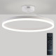 Светильник на штанге Natali Kovaltseva FINAM LED LAMPS 81121/1C