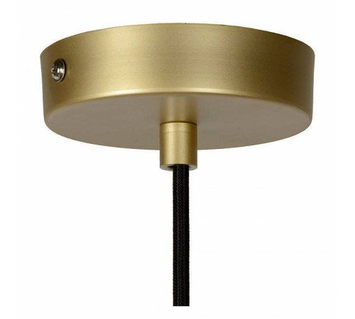 Подвесной светильник Lucide Cooper 10410/20/02