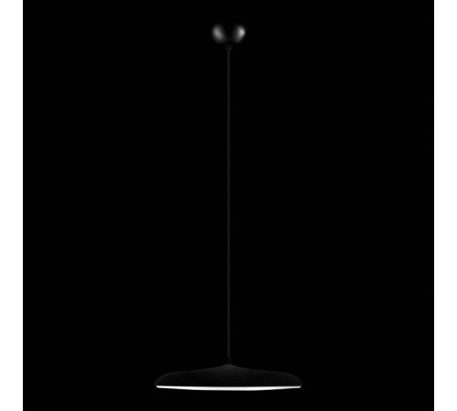 Подвесной светильник Loft it Plato 10119 Black