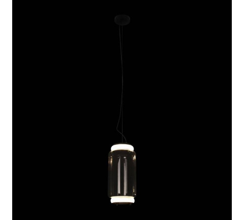 Подвесной светильник Loft it Noctambule 10194/S