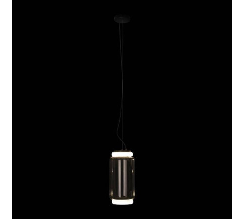 Подвесной светильник Loft it Noctambule 10194/S