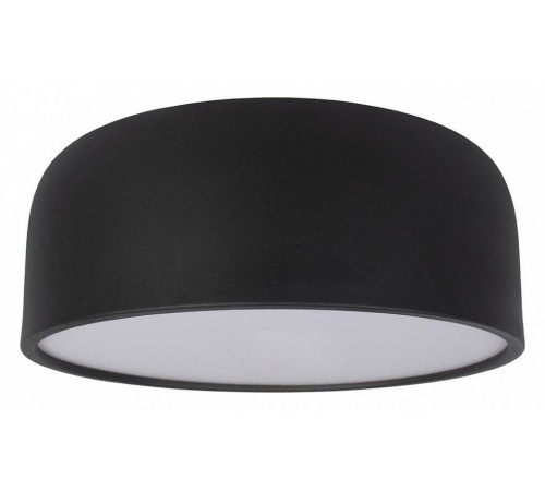 Накладной светильник Loft it Axel 10201/350 Black