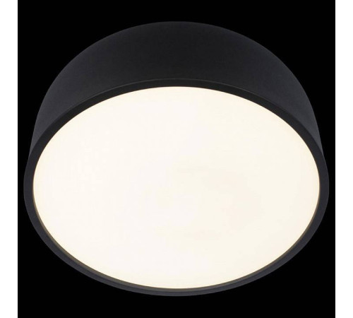 Накладной светильник Loft it Axel 10201/350 Black