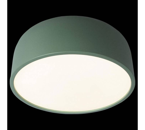 Накладной светильник Loft it Axel 10201/350 Green