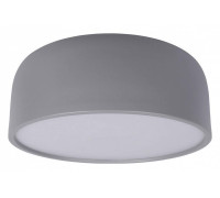 Накладной светильник Loft it Axel 10201/350 Grey