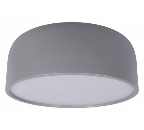 Накладной светильник Loft it Axel 10201/350 Grey