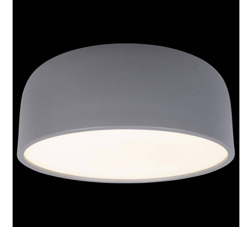 Накладной светильник Loft it Axel 10201/350 Grey