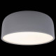 Накладной светильник Loft it Axel 10201/350 Grey