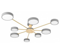 Потолочная люстра Loft it Sunrise 10316/8 Grey