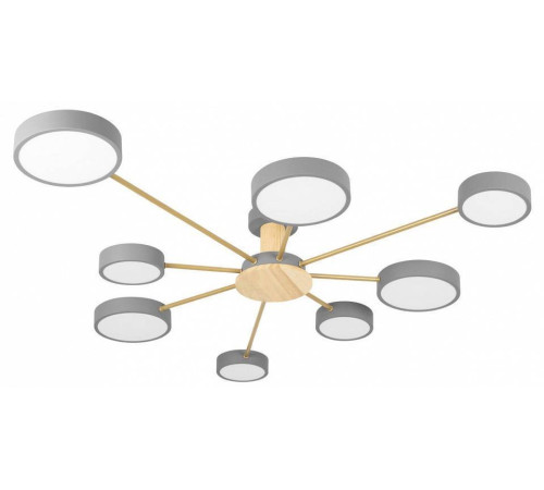 Потолочная люстра Loft it Sunrise 10316/8 Grey