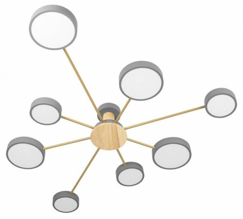 Потолочная люстра Loft it Sunrise 10316/8 Grey