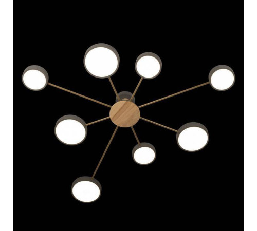 Потолочная люстра Loft it Sunrise 10316/8 Grey