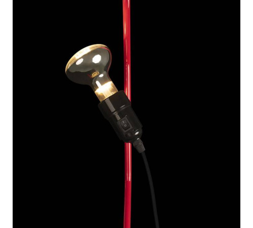 Светильник на растяжке Loft it Parentesi 10346/2 Red