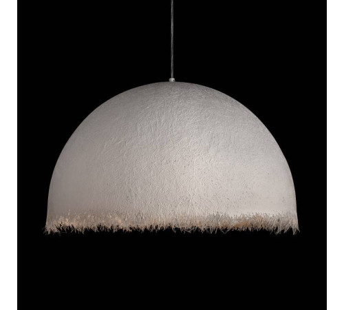 Подвесной светильник Loft it Plancton 10372/800