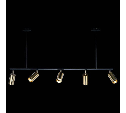 Светильник на штанге Loft it Tribes 8120P-5