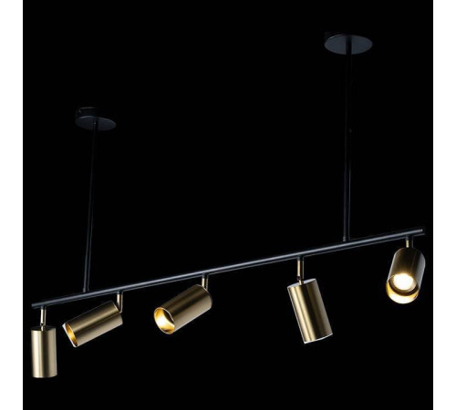 Светильник на штанге Loft it Tribes 8120P-5