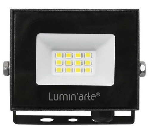 Настенно-потолочный прожектор Luminarte LFL LFL-10W/06