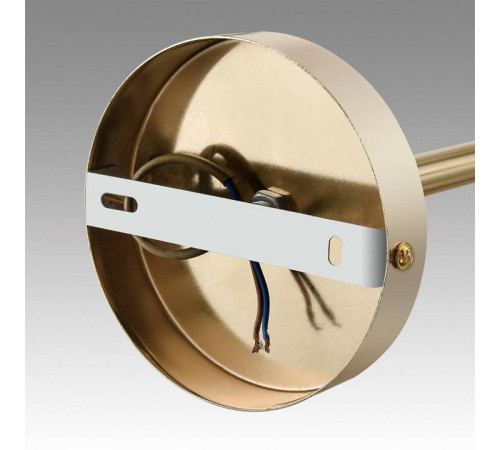 Люстра на штанге Lumion Kassia 6586/10