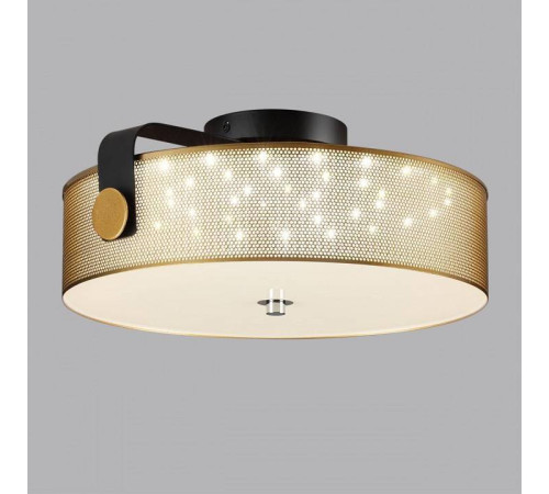 Накладной светильник Lumion Drumy 6597/40L