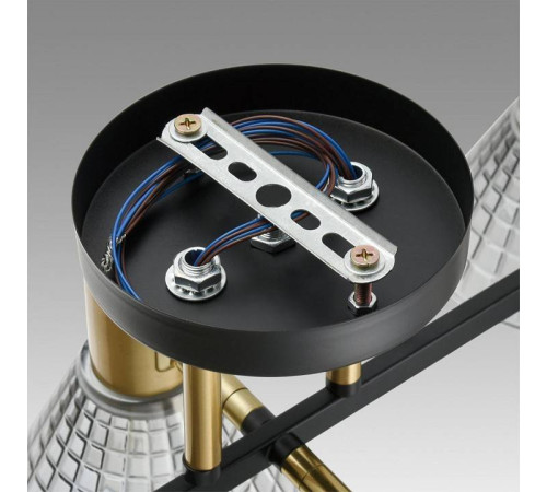 Люстра на штанге Lumion Anriya 8044/6C