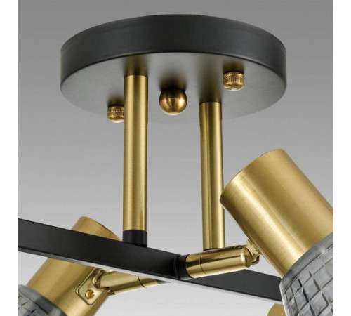 Люстра на штанге Lumion Anriya 8044/6C