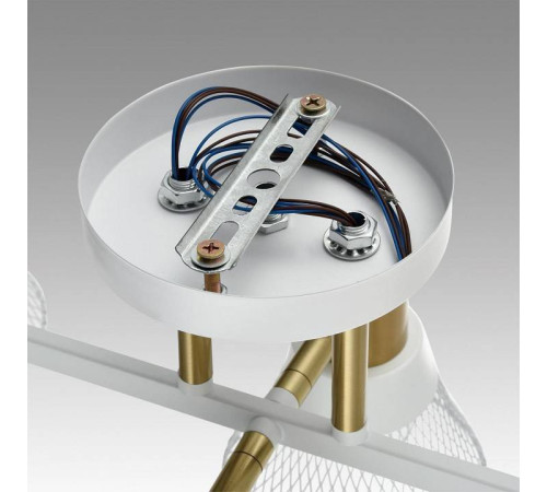 Люстра на штанге Lumion Anriya 8045/6C