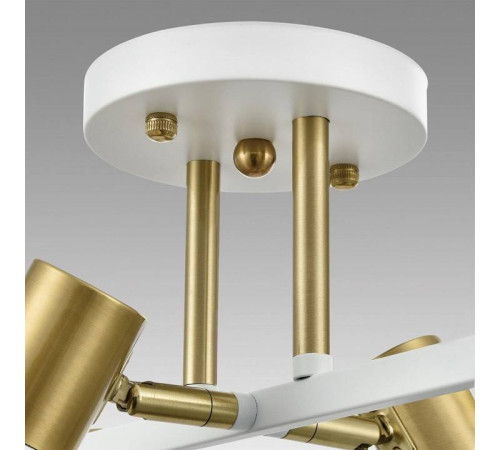 Люстра на штанге Lumion Anriya 8045/6C