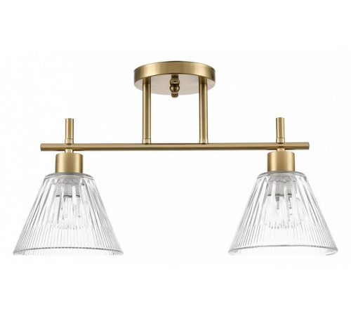 Светильник на штанге Lumion Vivian 8188/2C