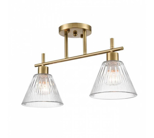 Светильник на штанге Lumion Vivian 8188/2C