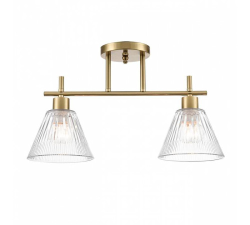 Светильник на штанге Lumion Vivian 8188/2C