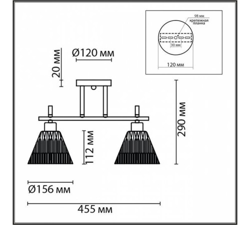 Светильник на штанге Lumion Vivian 8188/2C