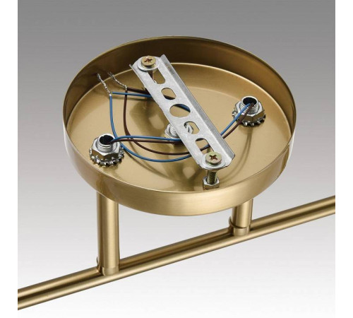 Светильник на штанге Lumion Vivian 8188/2C