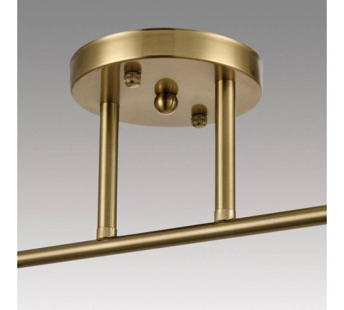 Светильник на штанге Lumion Vivian 8188/2C