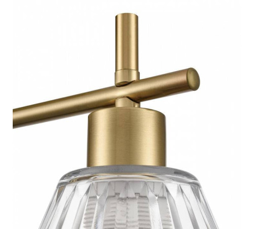 Светильник на штанге Lumion Vivian 8188/2C