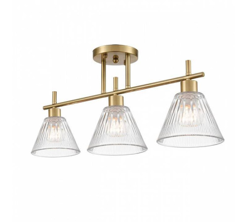 Светильник на штанге Lumion Vivian 8188/3C