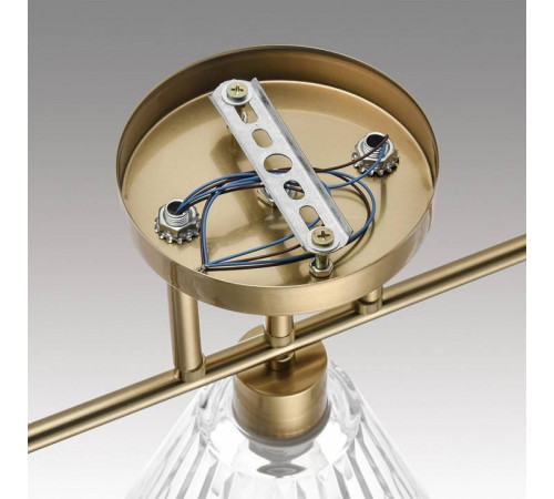 Светильник на штанге Lumion Vivian 8188/3C