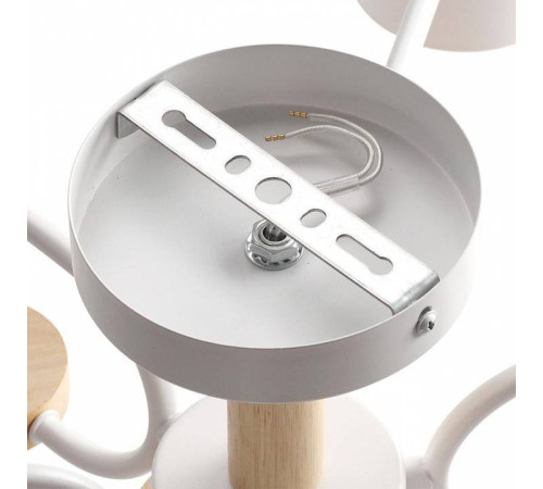 Люстра на штанге Lumion Rondo 8231/6C