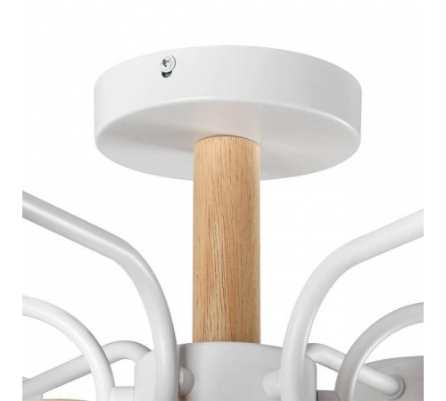 Люстра на штанге Lumion Rondo 8231/6C