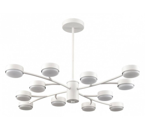 Люстра на штанге Lumion TORINA 8265/12