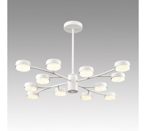 Люстра на штанге Lumion TORINA 8265/12