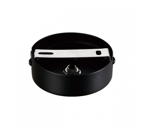 Подвесной светильник Lumion GLORIYA 8273/1A