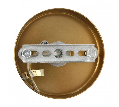 Подвесная люстра Lumion MODERNI 8320/5