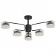 Люстра на штанге Lumion NATALINA 8349/6C