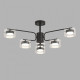 Люстра на штанге Lumion NATALINA 8349/6C