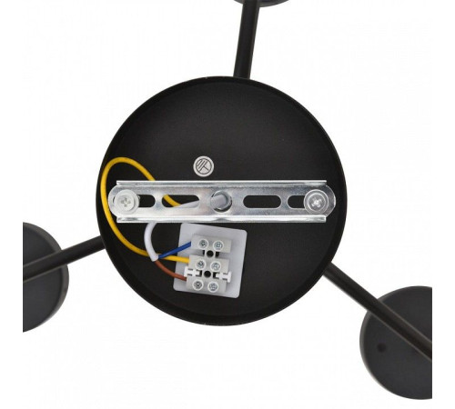 Люстра на штанге Lumion NATALINA 8349/6C