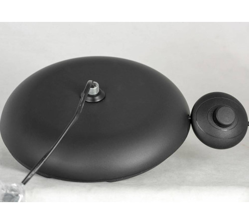 Торшер Lussole LSP-0629 LSP-0629