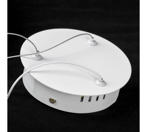 Подвесной светильник Lussole Crook LSP-7363