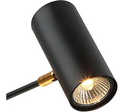 Люстра на штанге Lussole Duncan LSP-8252