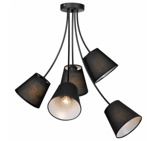 Потолочная люстра Lussole Lafayette LSP-8266